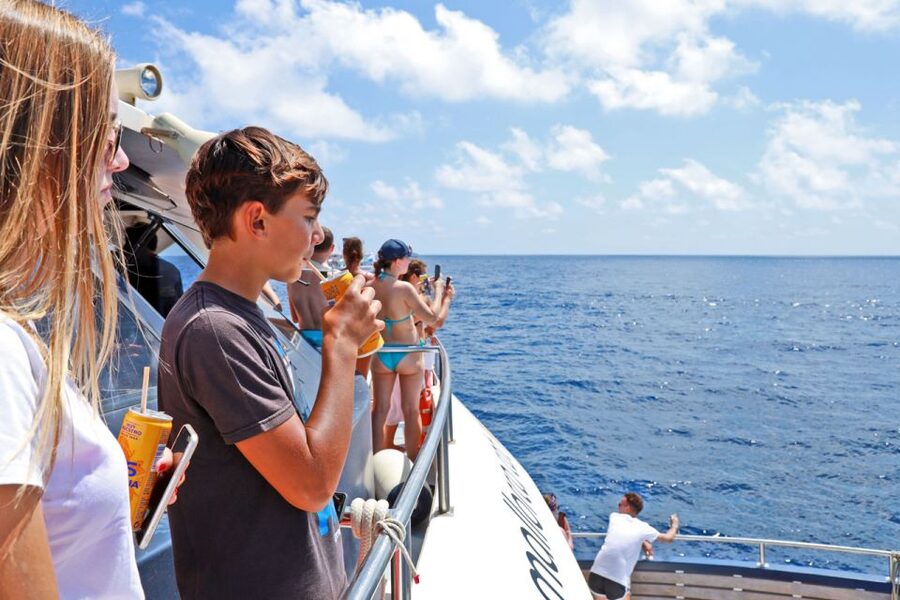 Mallorca: 2-Hour Dolphin Watching Cruise & Glass-Bottom Boat - Who Should Book This Mallorca Dolphin Cruise?