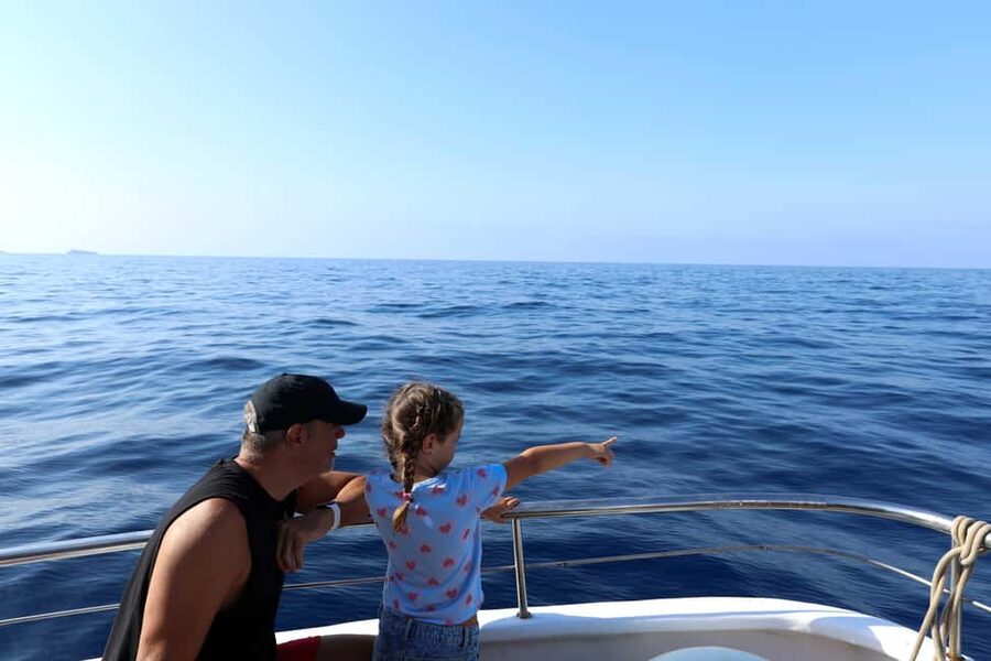 Mallorca: 3-Hour Afternoon Dolphin Watching Boat Tour - Who will enjoy this afternoon cruise