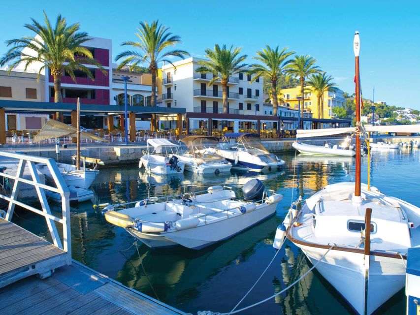 Mallorca: Catamaran Coastal Cruise with Lunch - The first swim near Cala Egos