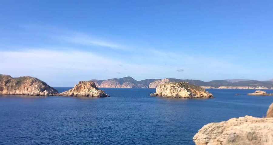 Mallorca: Catamaran Coastal Cruise with Lunch - Buffet lunch and onboard drinks