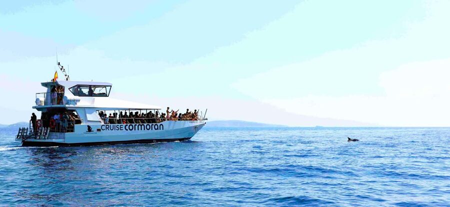 Mallorca: Catamaran Coastal Cruise with Lunch - The second swim stop