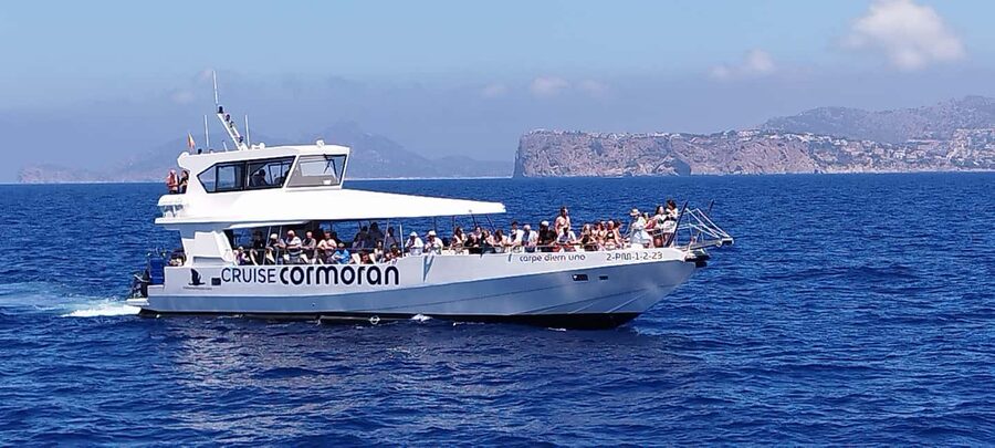 Mallorca: Catamaran Coastal Cruise with Lunch - Who will enjoy this cruise most?