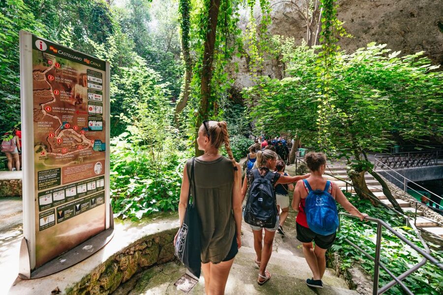 Mallorca: Caves of Drach Day Trip & Optional Caves of Hams - Key points to know before booking