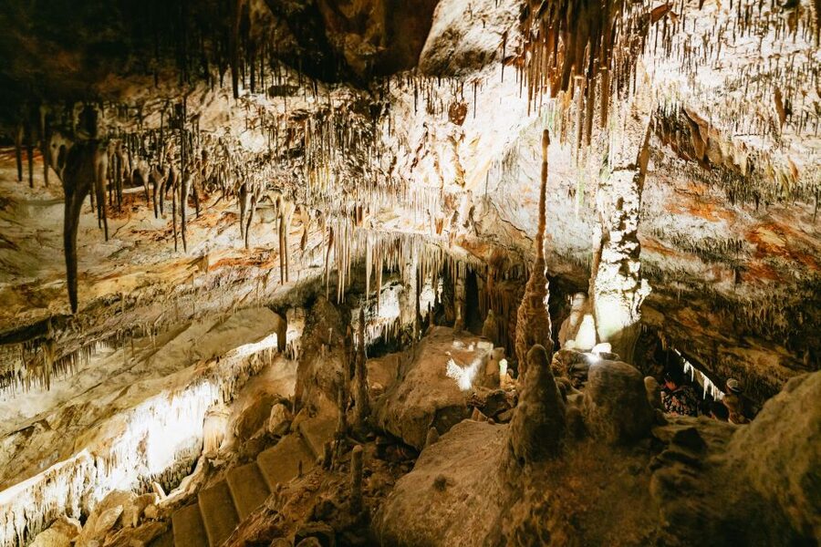 Mallorca: Caves of Drach Day Trip & Optional Caves of Hams - Price, group size, and overall value