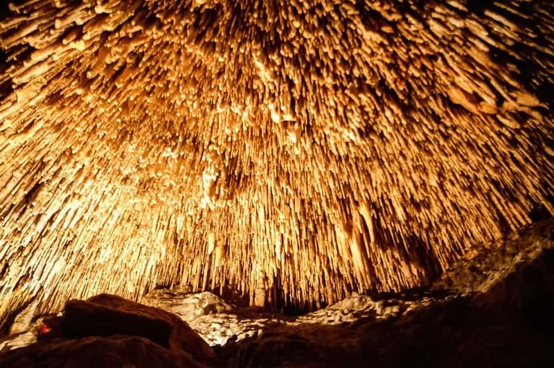 Mallorca: Caves of Drach Tour from the North with Boat Trip - Key points before you book