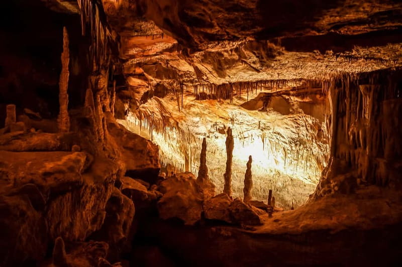 Mallorca: Caves of Drach Tour from the North with Boat Trip - Porto Cristo adds a useful coastal pause
