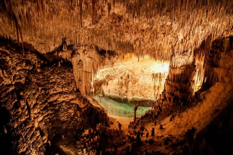 Mallorca: Caves of Drach Tour from the North with Boat Trip - What to bring and how to prepare
