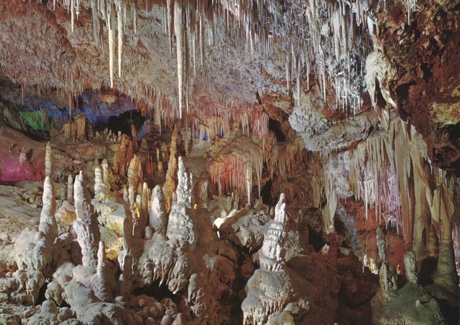 Mallorca: Day Trip to Caves of Hams & Optional Dinosaurland - Adding Dinosaurland on Thursdays