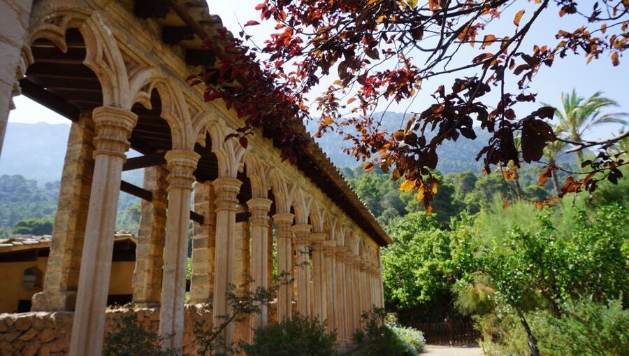Mallorca: Day Trip to Hidden Gems of Tramuntana with Lunch - Inside a Sóller olive oil mill