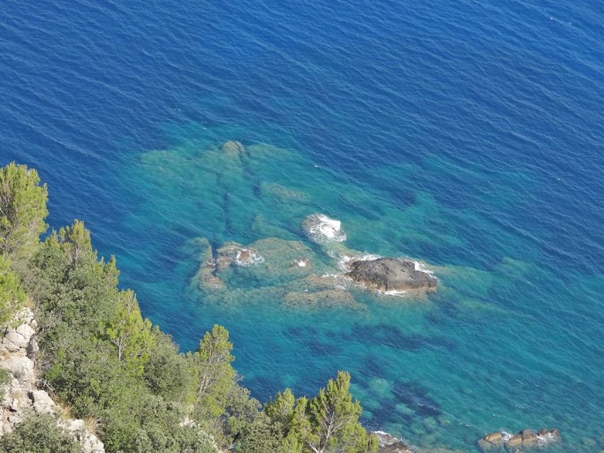 Mallorca: Day Trip to Hidden Gems of Tramuntana with Lunch - Timing, transport, and the feel of the day
