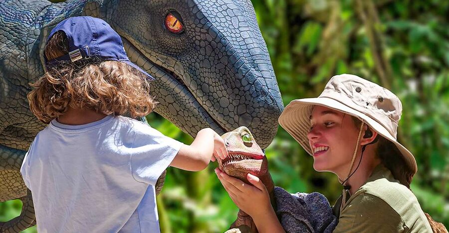 Mallorca: Dinosaurland and Caves of Hams Combined Ticket - Why this Porto Cristo combo works so well