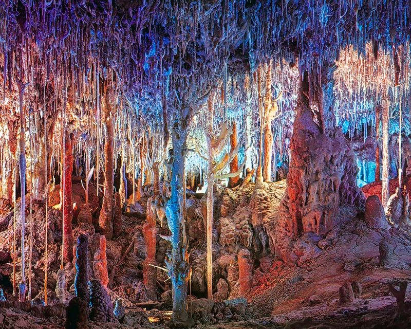 Mallorca: Dinosaurland and Caves of Hams Combined Ticket - Start inside the Round Cave