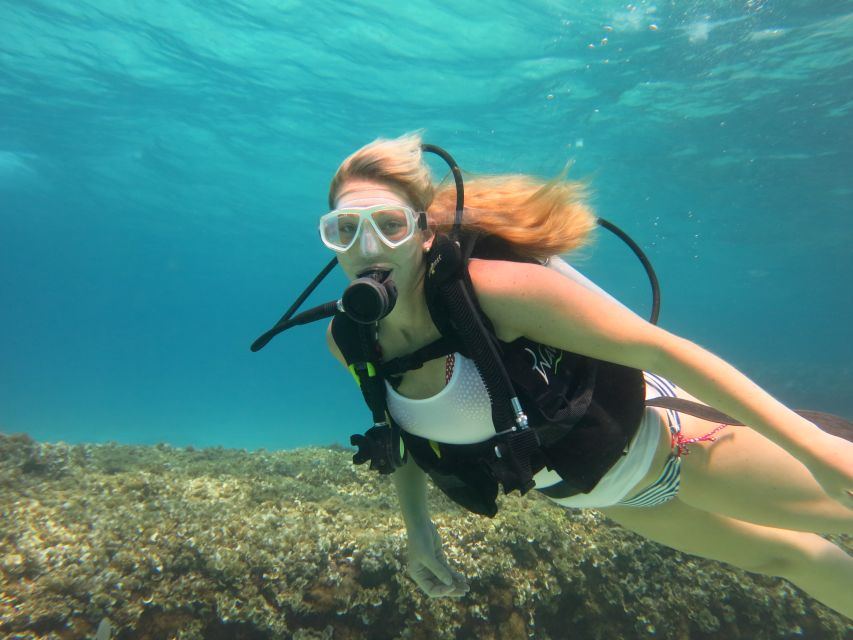 Mallorca: Discover Scuba Diving for Beginners - What could disappoint you?