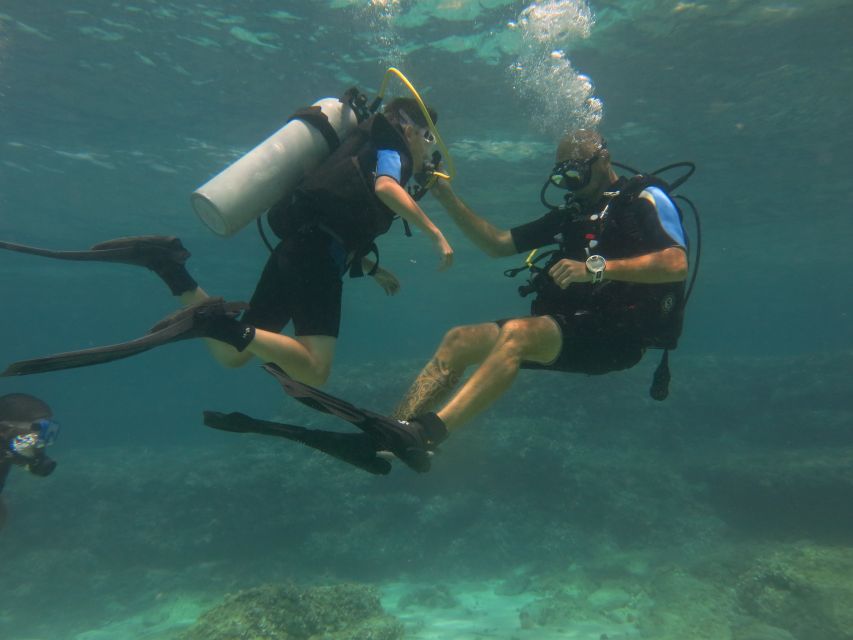 Mallorca: Discover Scuba Diving for Beginners - Who will enjoy this most?
