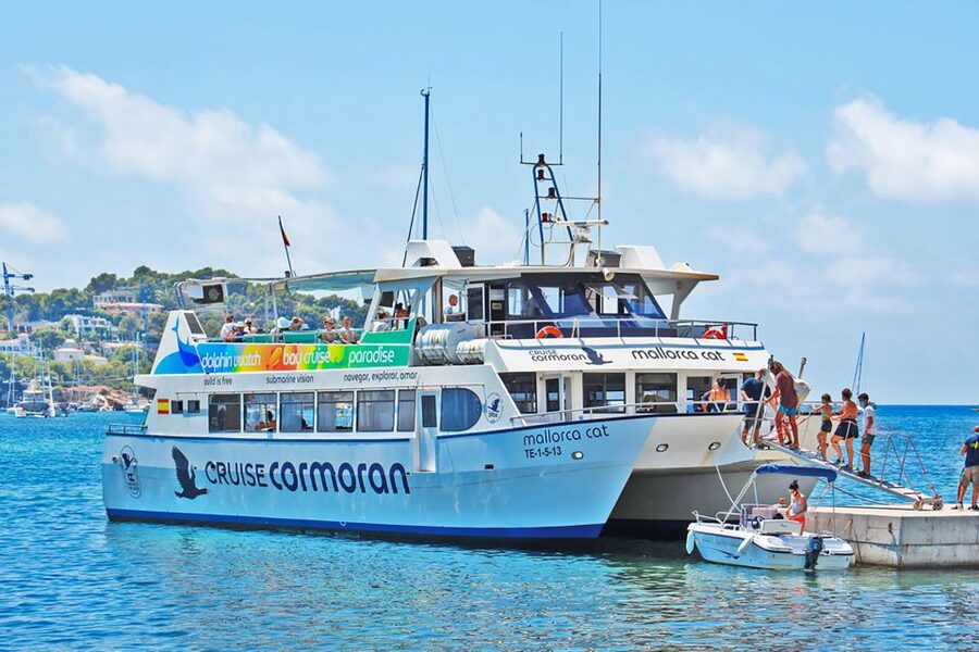 Mallorca: Dolphin Watching Cruise - Key points at a glance