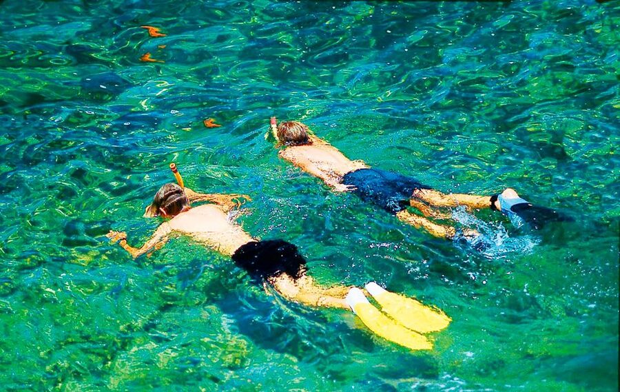 Mallorca: Dolphin Watching Cruise - Is $54 a Fair Price?