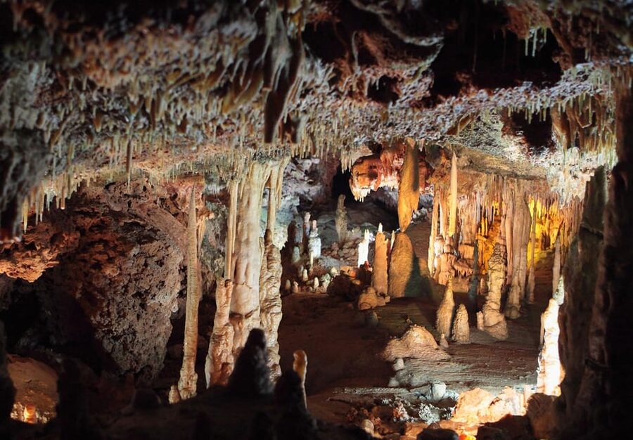 Mallorca: Drach and Hams Caves, and Porto Cristo Day Tour - The bus ride and multilingual guide