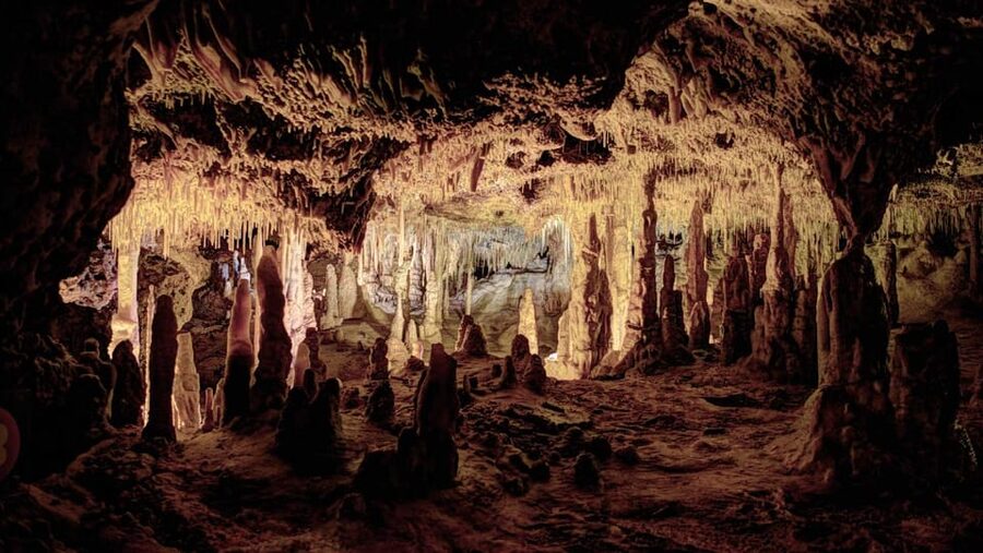 Mallorca: Drach Caves, Lake Martel, & Pearl Factory Day Trip - Who should book this Mallorca excursion?
