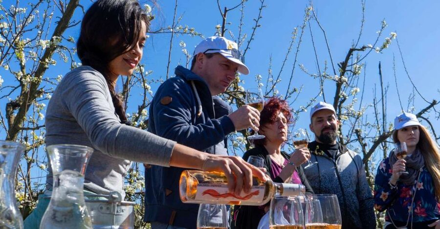 Mallorca: Full-Day Winery Small Group Tour - Leaving Palma for Mallorca’s wine country