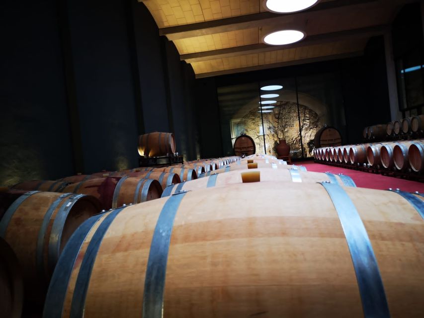 Mallorca: Full-Day Winery Small Group Tour - Second stop: a fuller food and wine break