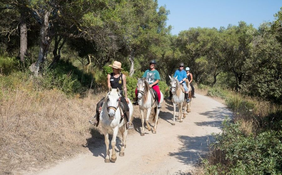 Mallorca: Horseback Riding Excursion and Wine Tasting - Key Points Before You Book