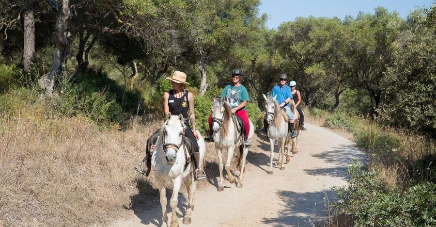 Mallorca: Horseback Riding Excursion and Wine Tasting - Riding Through the Forests of Puig de Sant Martí