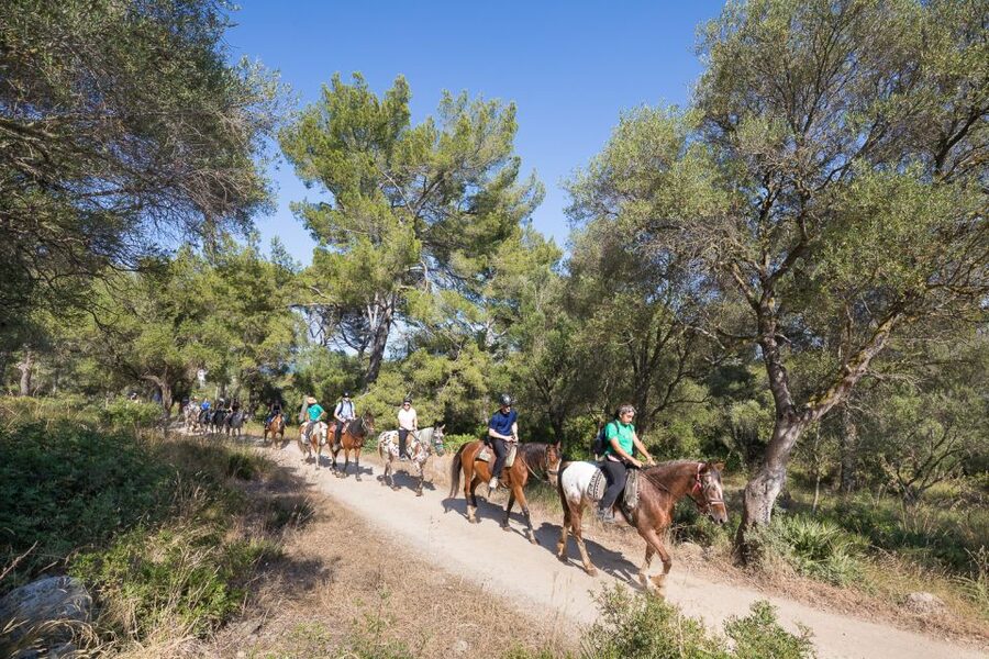 Mallorca: Horseback Riding Excursion and Wine Tasting - Why the $75 Price Makes Sense