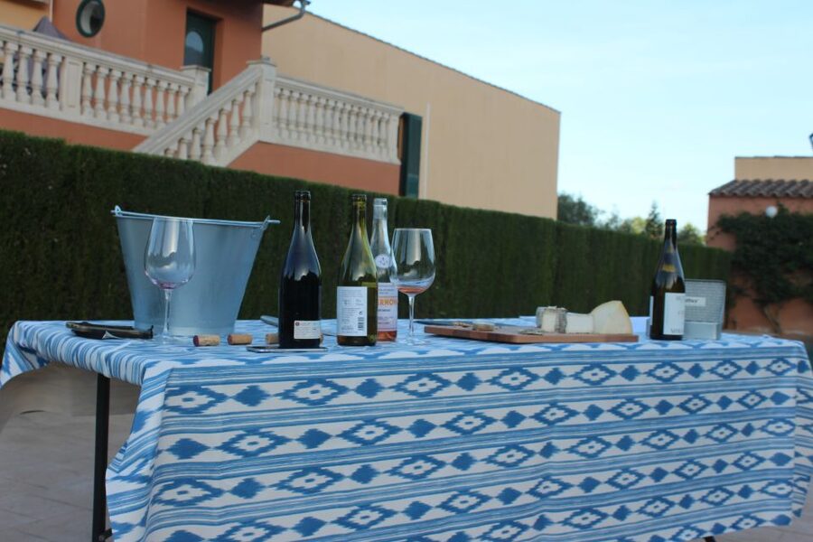 Mallorca: Horseback Riding Excursion and Wine Tasting - Choosing a Horse and Getting Comfortable