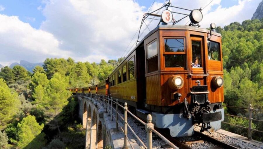 Mallorca: Island Tour with Boat, Train, and Hotel Transfer - Why this tour works so well for a first look at Mallorca