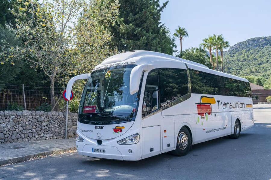 Mallorca: Island Tour with Boat, Tram & Train from the South - Guides, languages, and group rhythm