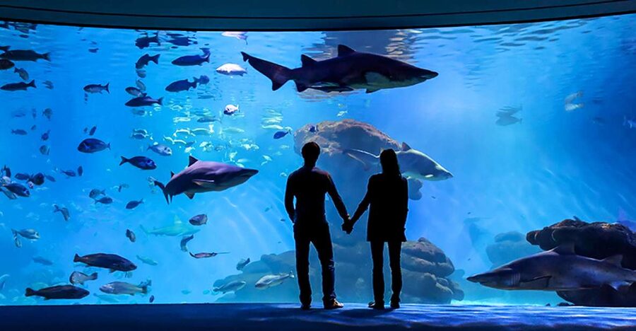 Mallorca: Palma Aquarium Entry Ticket w/ Optional 3D Cinema - Key things to know before you go