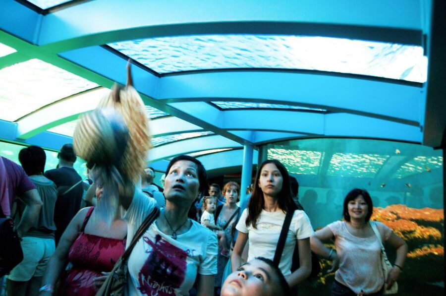 Mallorca: Palma Aquarium Entry Ticket w/ Optional 3D Cinema - Is Palma Aquarium worth the $39 ticket?