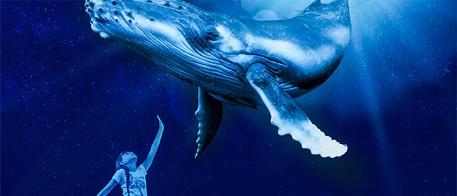 Mallorca: Palma Aquarium Entry Ticket w/ Optional 3D Cinema - Arriving at Carrer de Manuela de los Herreros