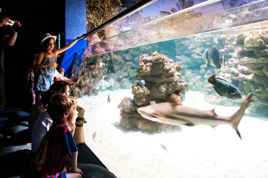 Mallorca: Palma Aquarium Entry Ticket w/ Optional 3D Cinema - The Aquadome 3D whale experience