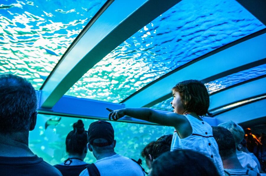 Mallorca: Palma Aquarium Entry Ticket w/ Optional 3D Cinema - Family facilities beyond the fish tanks