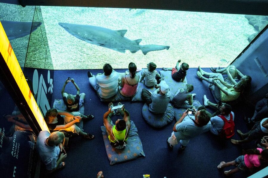 Mallorca: Palma Aquarium Entry Ticket w/ Optional 3D Cinema - Food, timing, and how long to stay