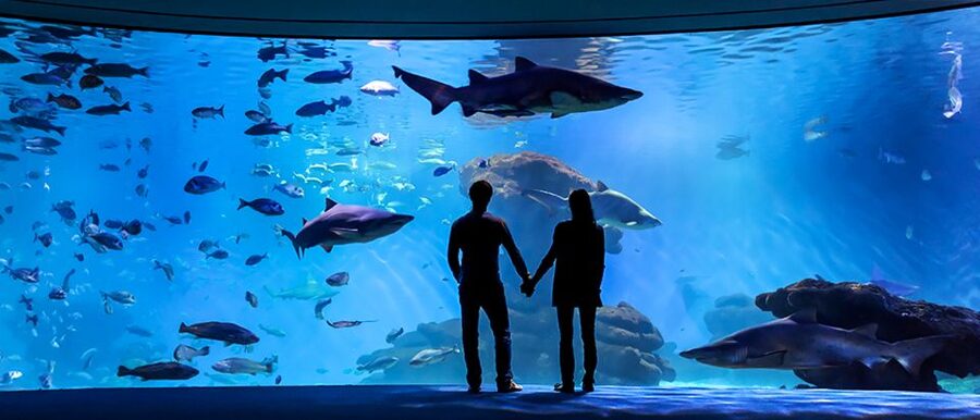 Mallorca: Palma Aquarium Entry Ticket w/ Optional 3D Cinema - Booking, cancellation, and practical restrictions