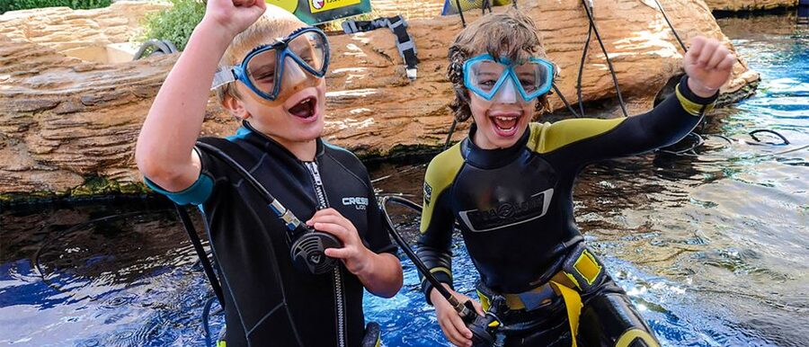 Mallorca: Palma Aquarium Entry Ticket w/ Optional 3D Cinema - The 1-kilometer route through eight habitats