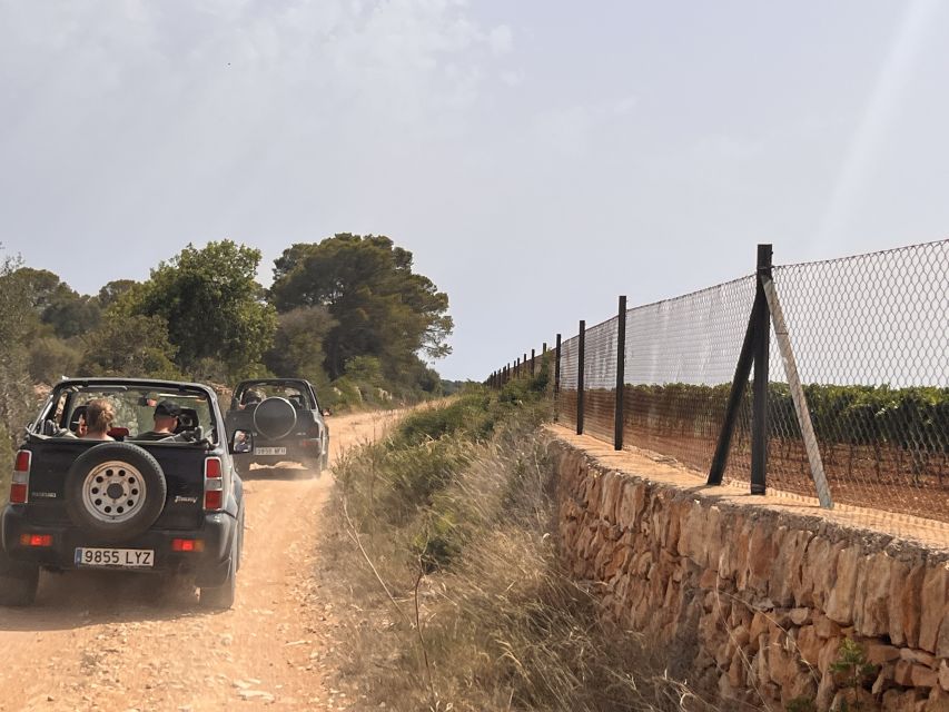 Mallorca: Self Drive 4x4 Jeepsafari Tour - Why this jeep safari works well in Mallorca