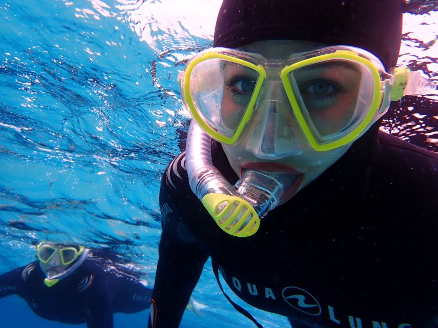 Mallorca: Snorkeling in a Beautiful Nature Reserve - Key points to know before booking