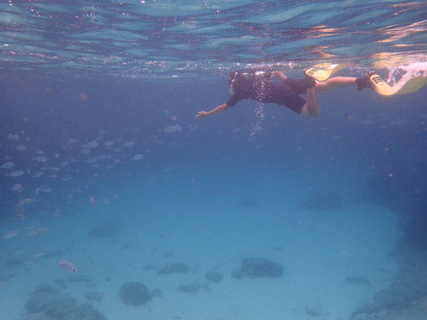 Mallorca: Snorkeling in a Beautiful Nature Reserve - Why this Mallorca snorkeling trip is worth considering