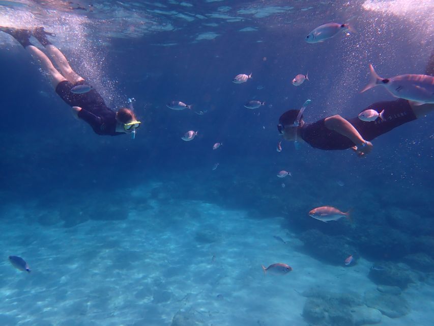 Mallorca: Snorkeling in a Beautiful Nature Reserve - A friendly team makes a big difference