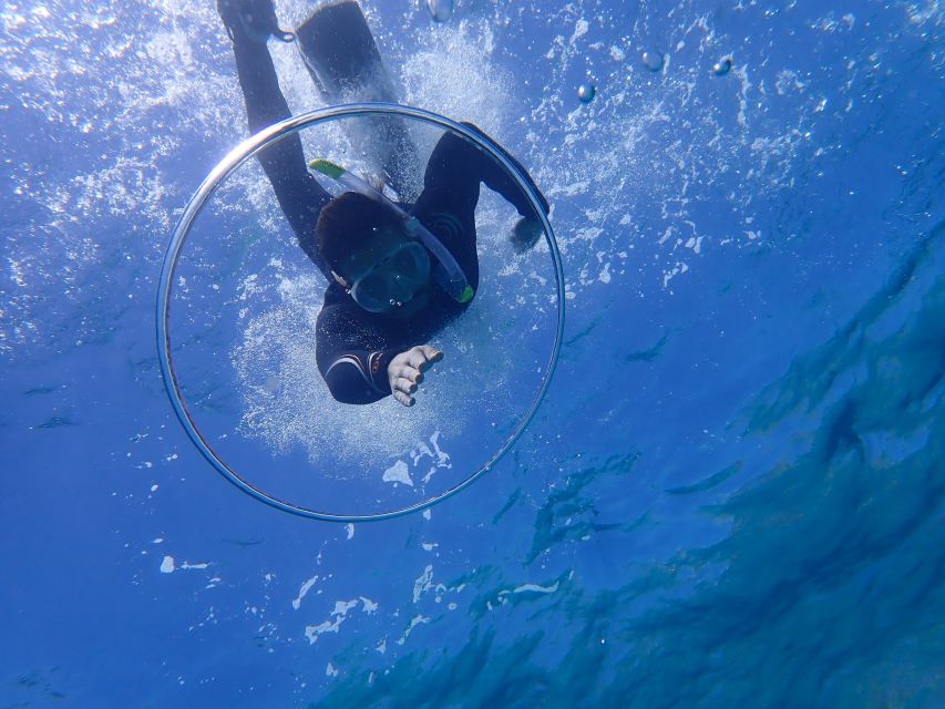 Mallorca: Snorkeling in a Beautiful Nature Reserve - The main drawbacks to weigh