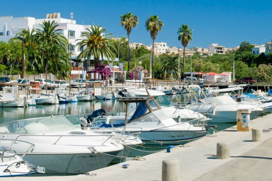 Mallorca: Ticket for Caves of Drach with Pickup Service - The guide and bus organization