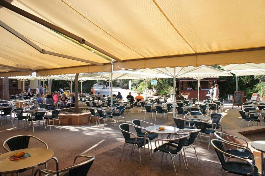 Mallorca: Ticket for Caves of Drach with Pickup Service - Boat ride or bridge crossing after the recital