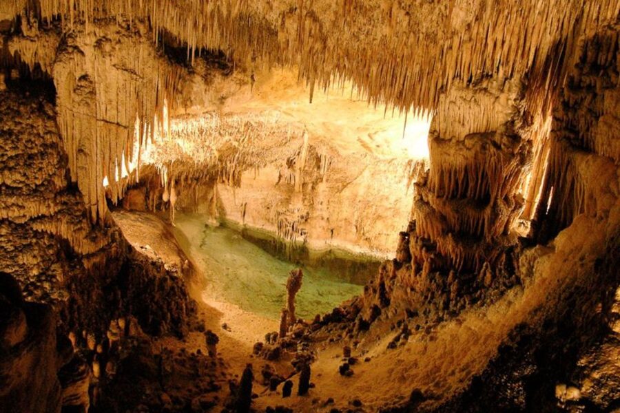 Mallorca: Ticket for Caves of Drach with Pickup Service - Porto Cristo stop: useful, but keep expectations modest