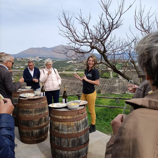 Manilva: Nilva Vineyard, Wine Tasting & Tapas Guided Tour - Wine and tapas above the Mediterranean