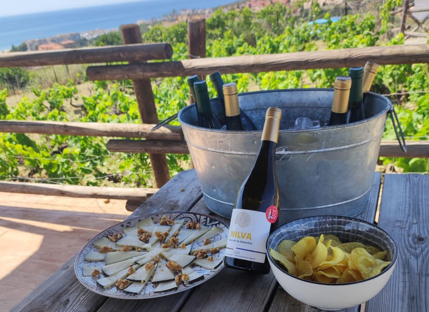 Manilva: Nilva Vineyard, Wine Tasting & Tapas Guided Tour - The guide makes the difference