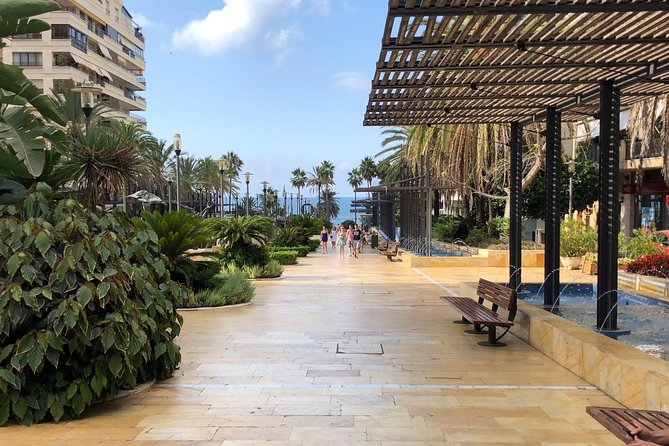 Marbella Old Town: Group Tour with a True Local - Starting beneath the palms at Alameda Park
