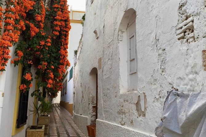Marbella Old Town: Group Tour with a True Local - Plaza Altamirano and the Arab medina